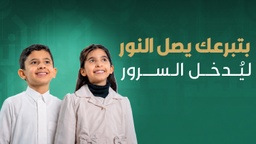 فاتورة الكهرباء